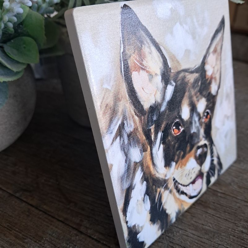The Kelpie Working Dog Coaster