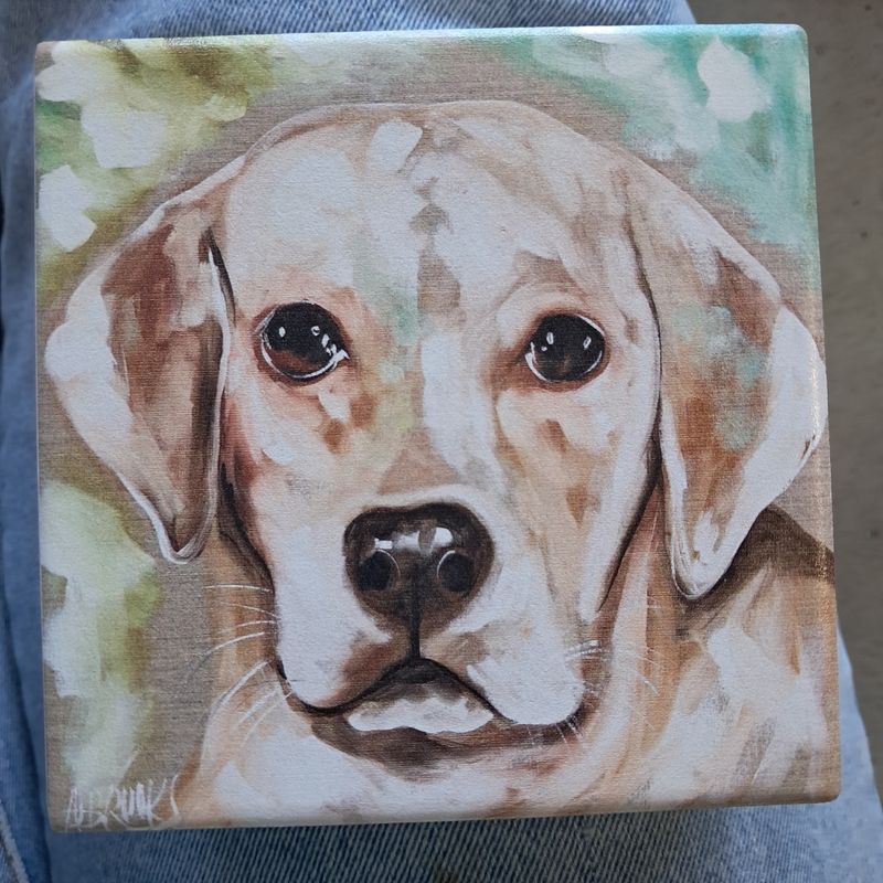 Wise Labrador Coaster