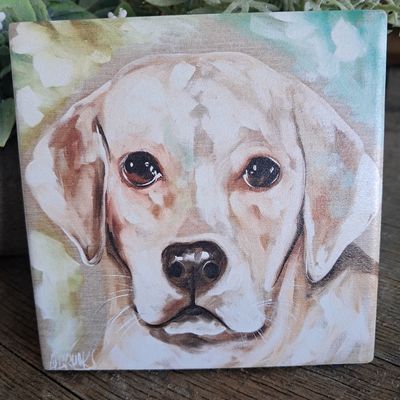 Wise Labrador Coaster