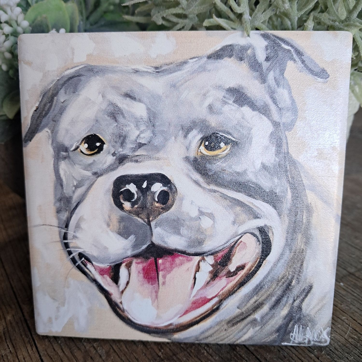 The Pitbull Smiles Coaster