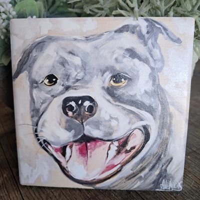 The Pitbull Smiles Coaster