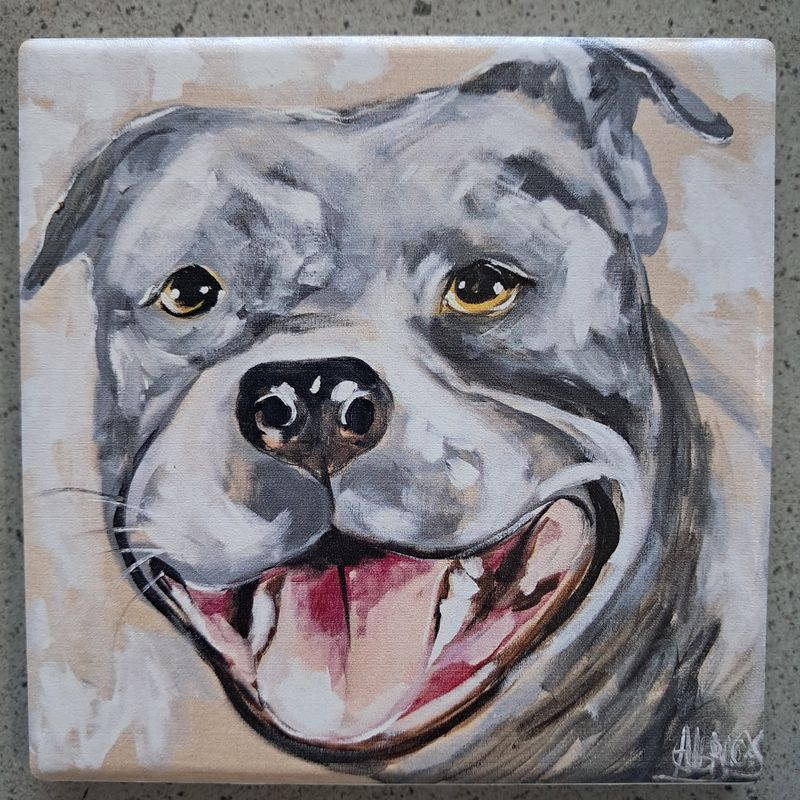 The Pitbull Smiles Coaster