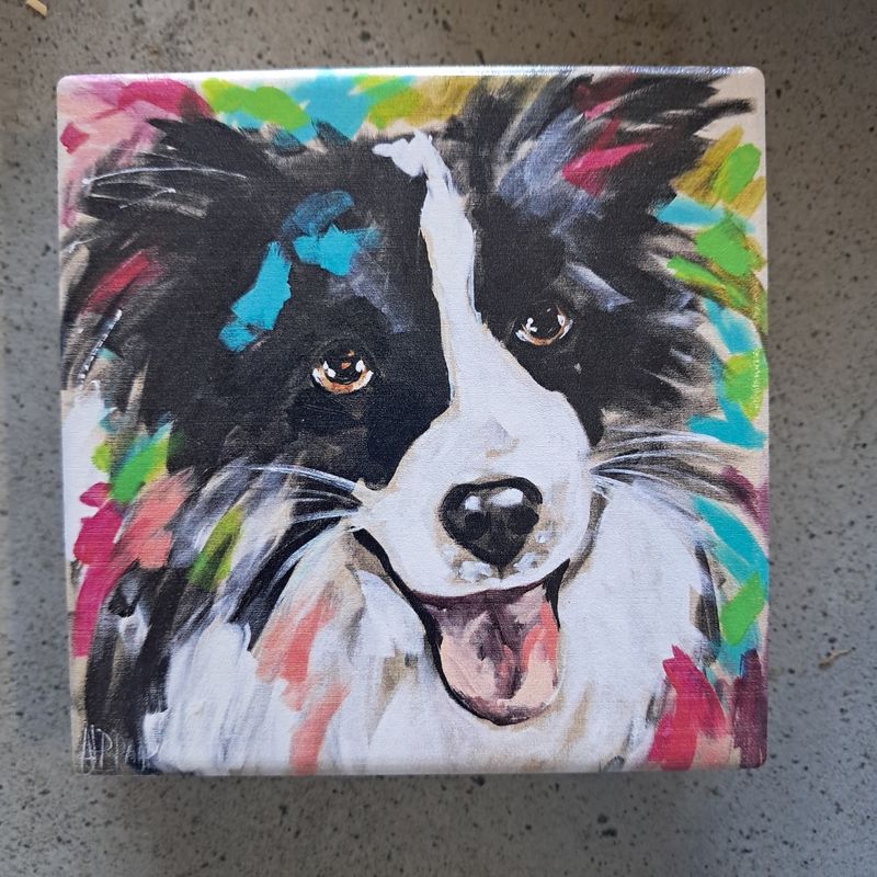 The Cheery Border Collie Coaster