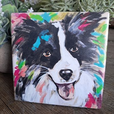 The Cheery Border Collie Coaster