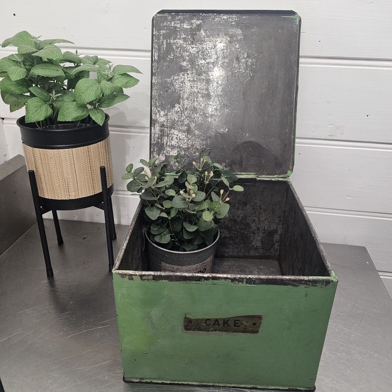 Antique E. Williamson Ltd Biscuit Tin