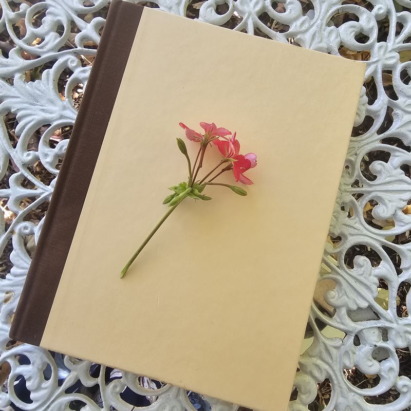 Country Diary of an Edwardian Lady Holden Book