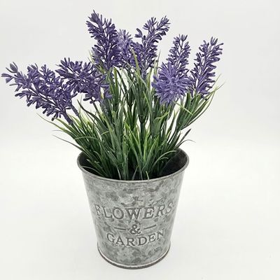 Lavender in Metal Flowers & Garden Pot
