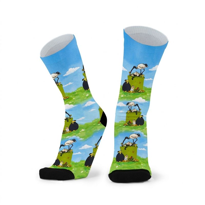 Cheeky Ibis/Bin Chicken socks W9+ Men 9-14