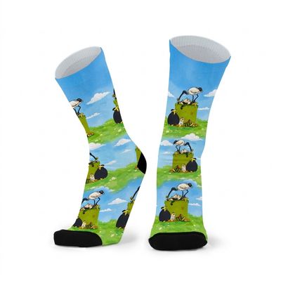 Cheeky Ibis/Bin Chicken socks W9+ Men 9-14