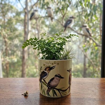 Kookaburra Bird Ceramic Planter Pot