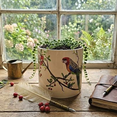 Eastern Rosella Bird Planter Pot w/drainage plug