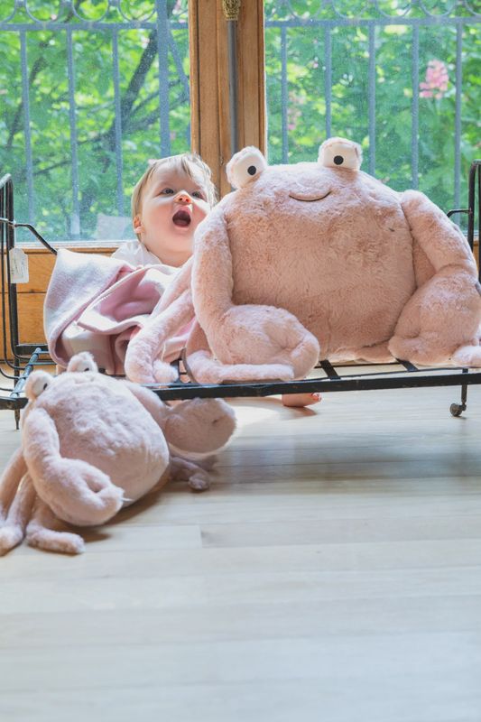 Clawdia the Big Crab Plush Toy