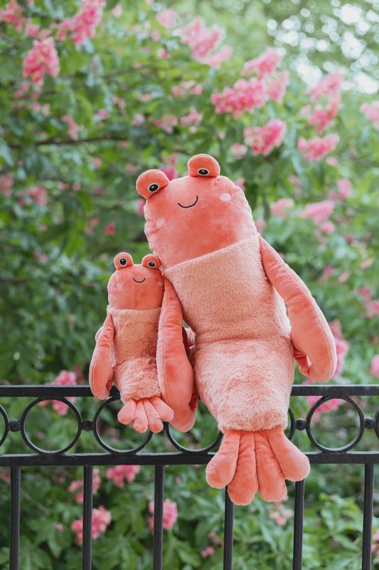 Craig the Big Crayfish Plush Toy