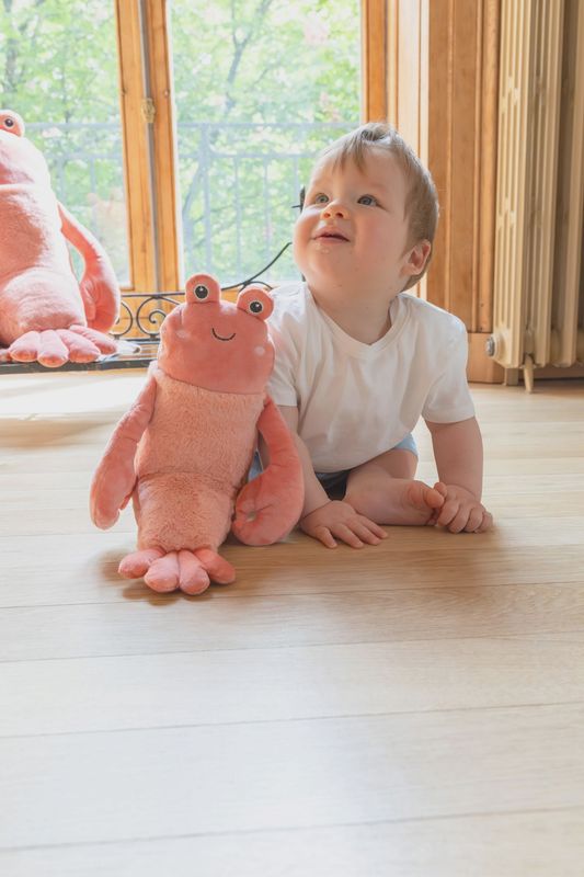 Craig the Crayfish Plush Toy