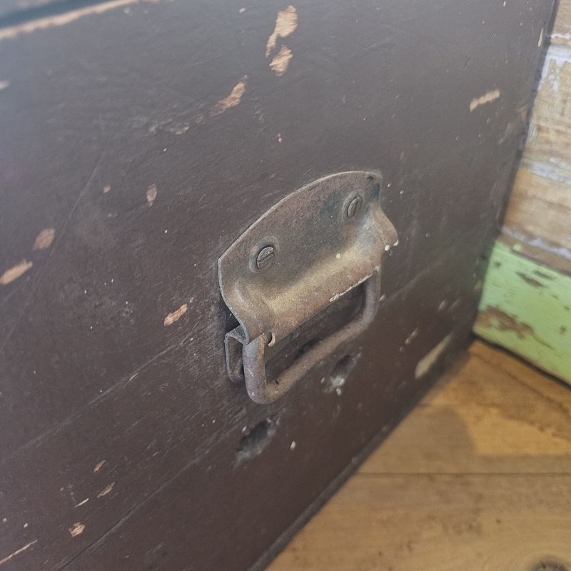 Wooden Trunk w/Mesh &amp; Storage