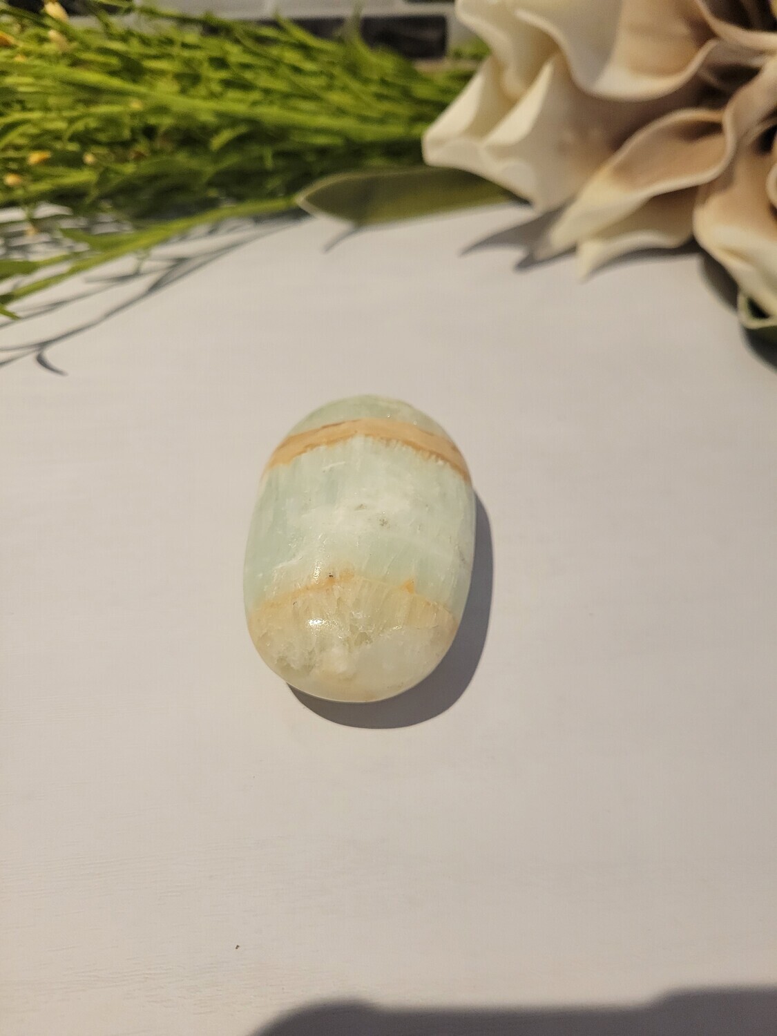 Caribbean Calcite Palm