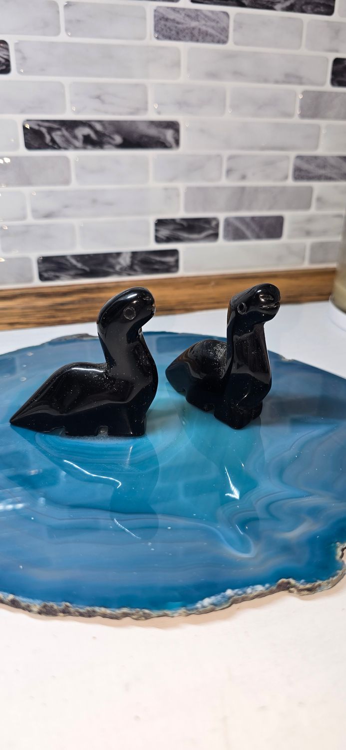 Black Obsidian Dino Couple 0.110kg