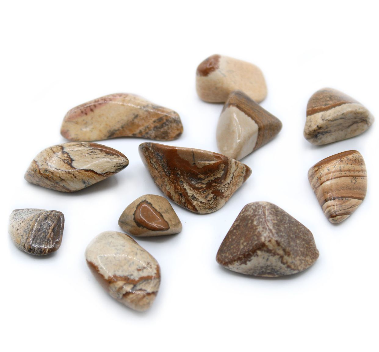 Medium polished Kalahari Desert Stone