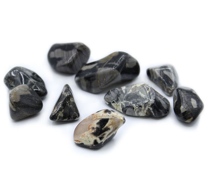 Medium Silverleaf Jasper