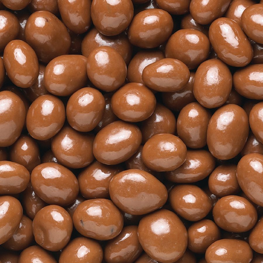 Chocolate Covered Raisins