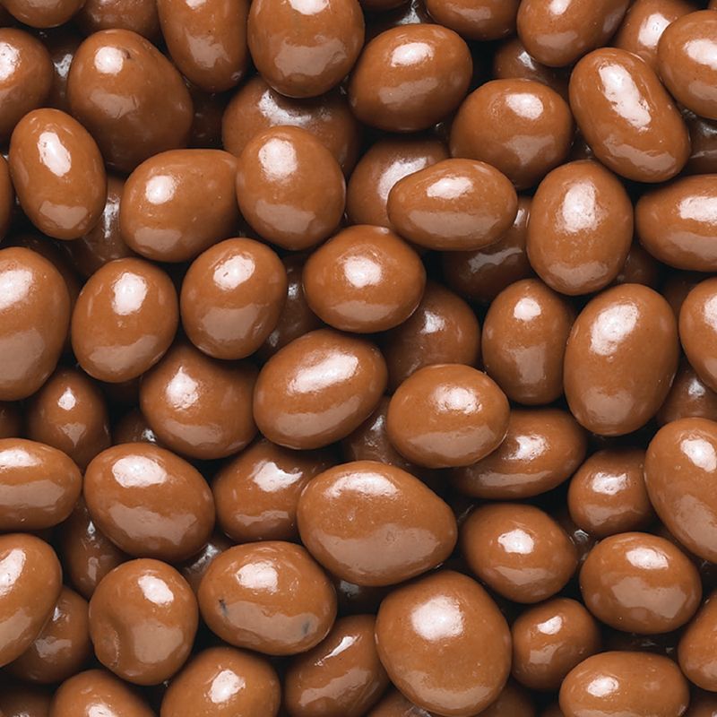 Chocolate Covered Raisins