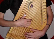 Evoharp 15-bar chromatic w/ padded case