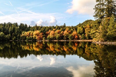 Nature‘s Palette