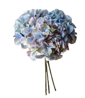 Hydrangea Bundle