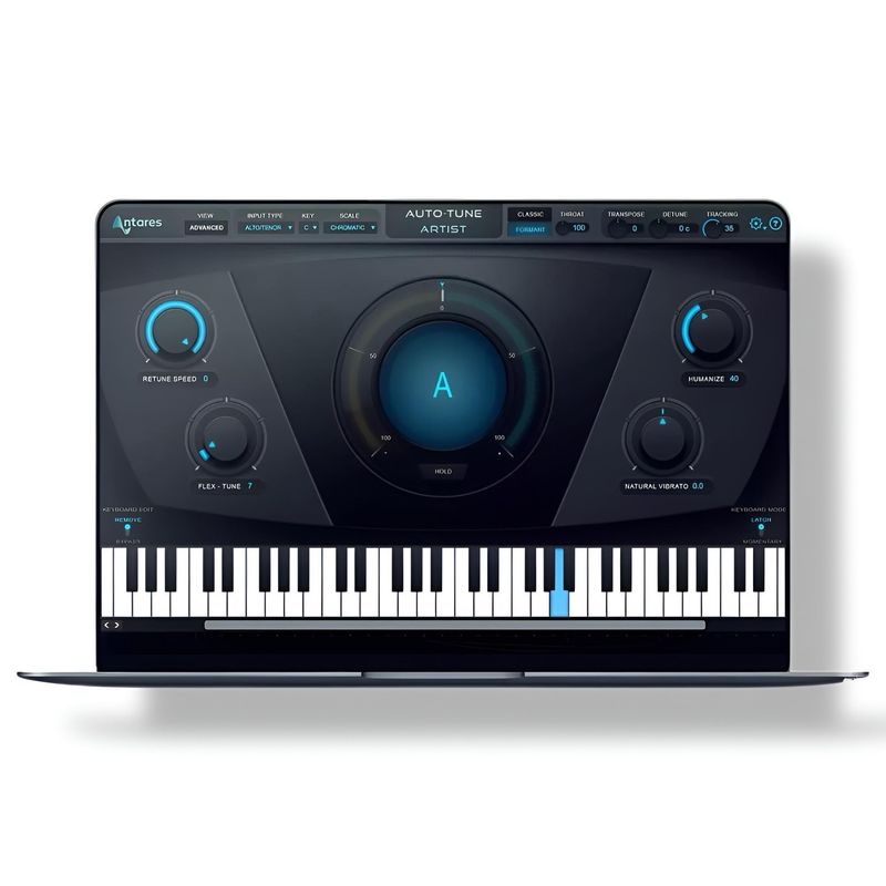 Auto Tune Artist