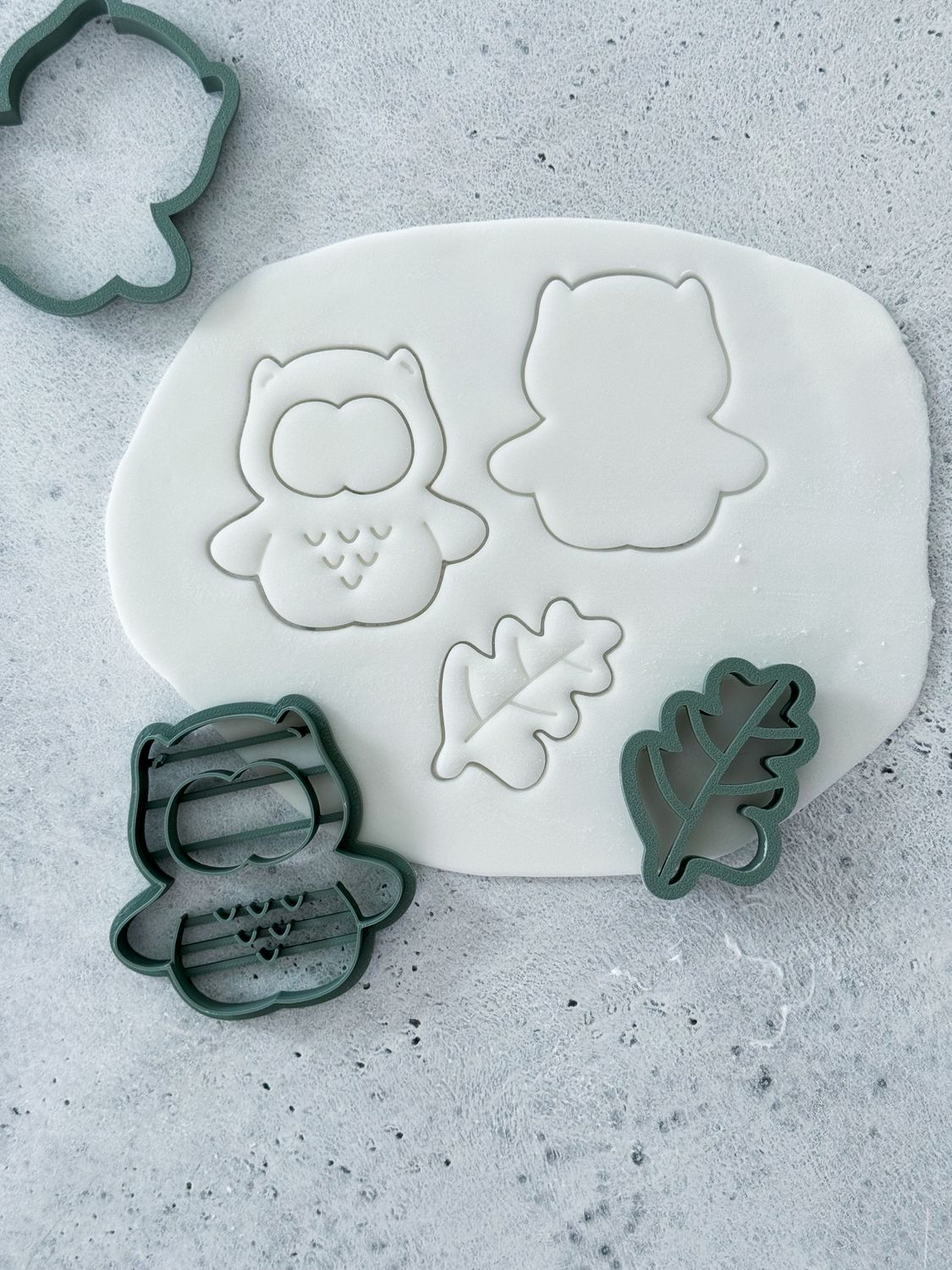 Linzer Owl and Leaf