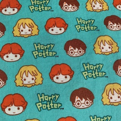 &quot;Harry Potter&quot; Face Mask