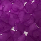 Acrylic Lucite Matte Electric Violet Purple Heart Shaped Leaves