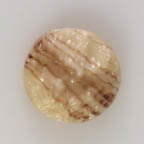 Opaque Marbled Light Caramel Swirl Abstract Deep Cut