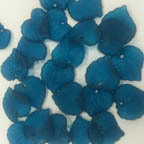 Acrylic Lucite Matte Deep Sea Blue Heart Shaped Leaves