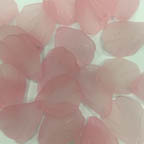 Acrylic Lucite Matte Baby Pink Curved Leaves
