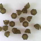 Acrylic Lucite Matte Dark Seaweed Green Tulip Flower