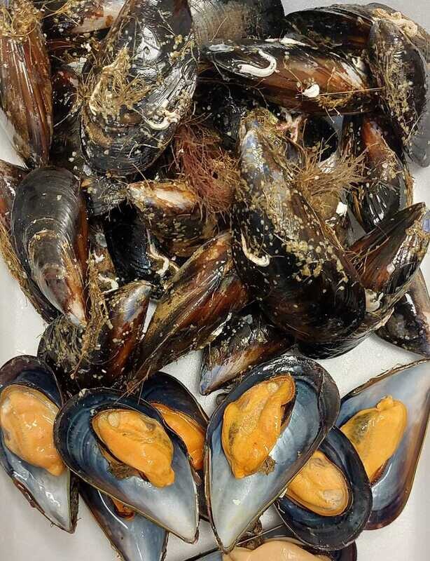 Mejillones Gallegos kilo
