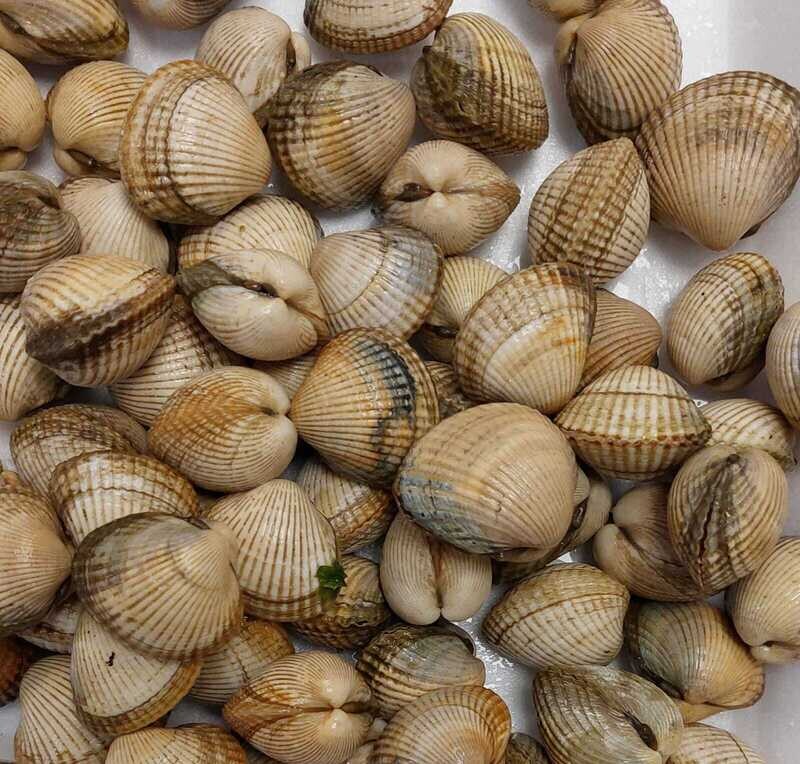 Berberecho extra kilo