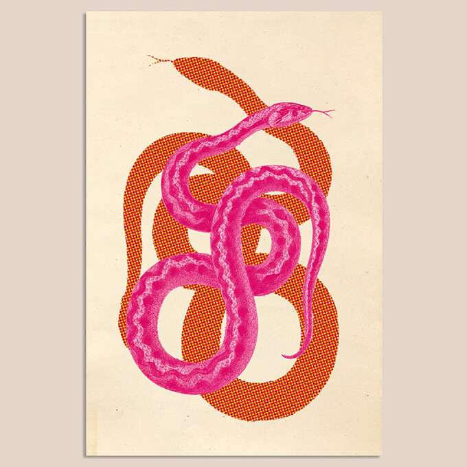 Pink Snake | Mix & Match | 20 x 30 cm Pink Snake | Mix & Match | 20 x 30 cm
