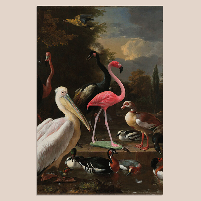 Floating Feather | Mix & Match | 20 x 30 cm