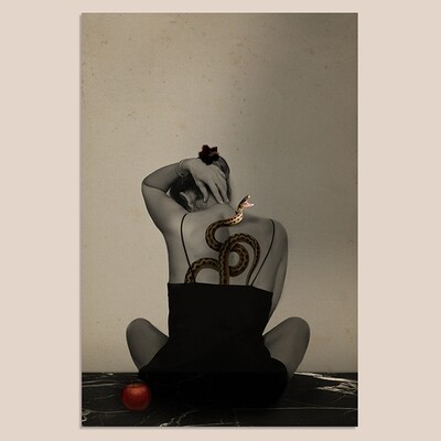Apple and Snake | Mix & Match | 20 x 30 cm Apple and Snake | Mix & Match | 20 x 30 cm