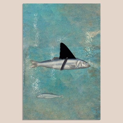 Haaaaaai | Mix & Match | 20 x 30 cm Haaaaaai | Mix & Match | 20 x 30 cm