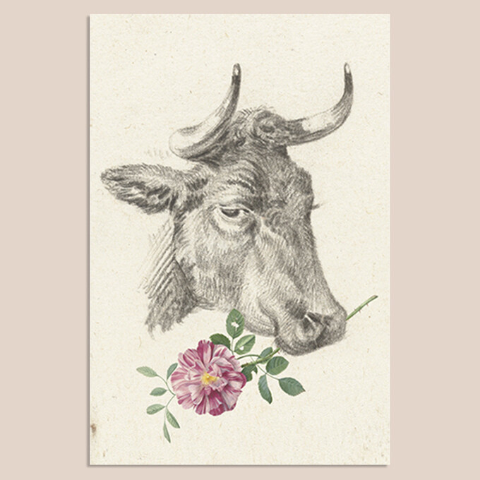 Cowsanova | Mix & Match | 20 x 30 cm Cowsanova | Mix & Match | 20 x 30 cm