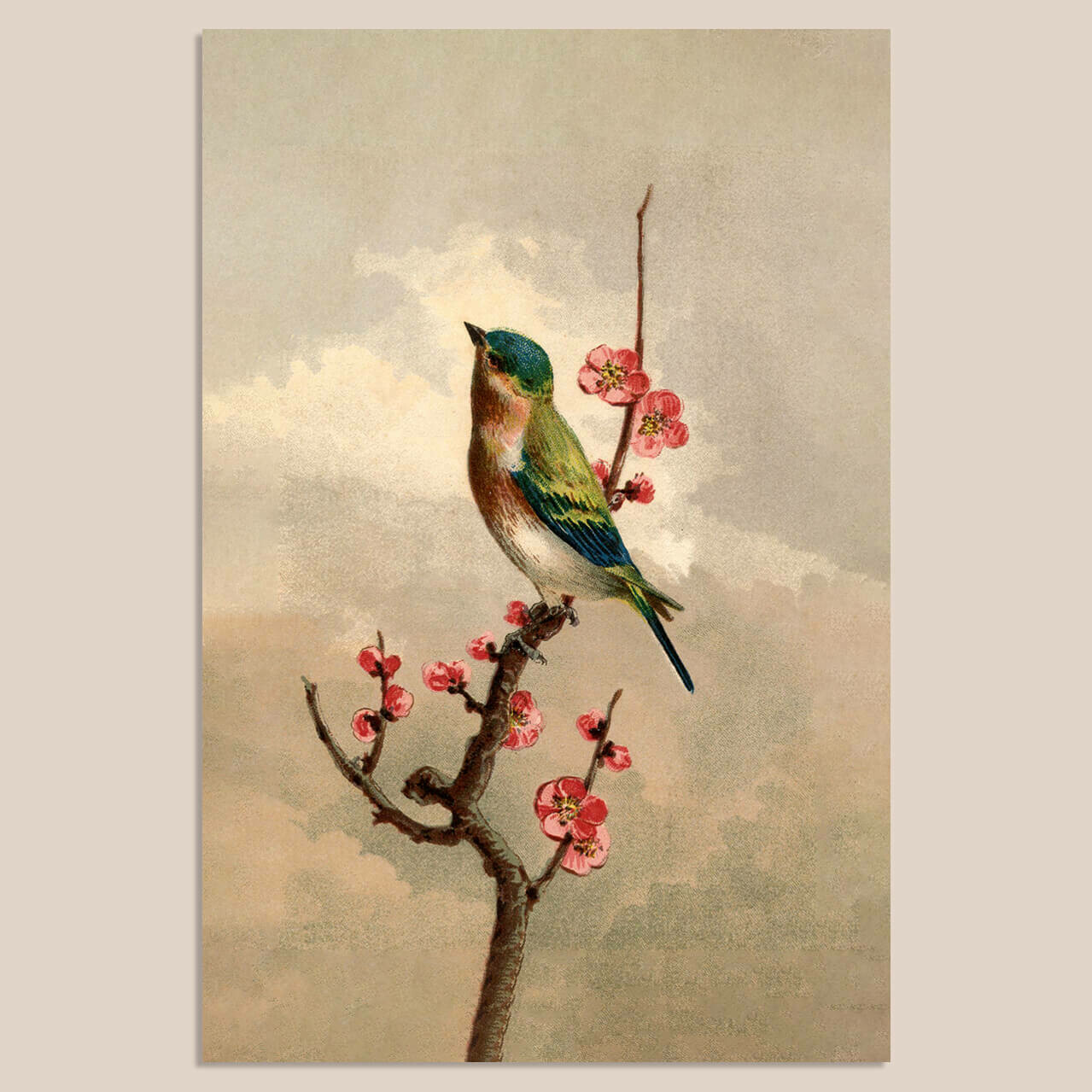 Birdy Vintage | Mix & Match | 20 x 30 cm
