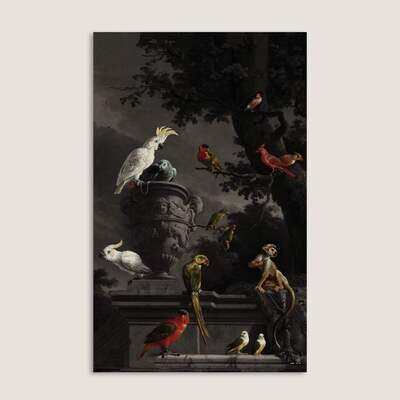 Menagerie Cacophony | d'Hondecoeter