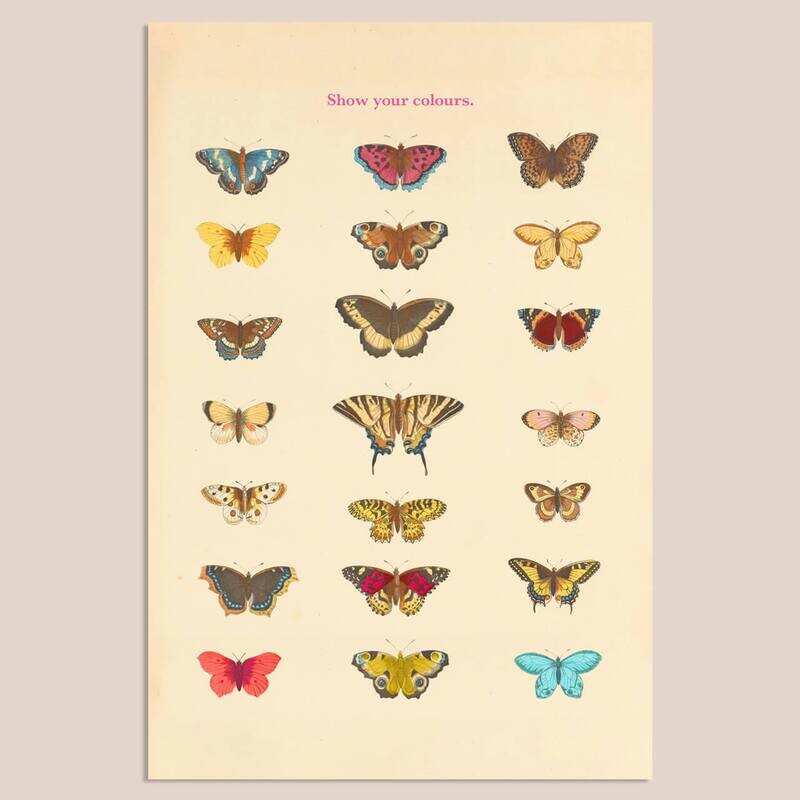 Butterflies | Mix & Match | 20 x 30 cm Butterflies | Mix & Match | 20 x 30 cm