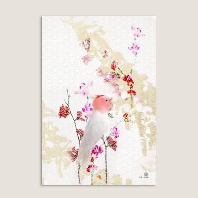 Sakura Bird | Japanese artists