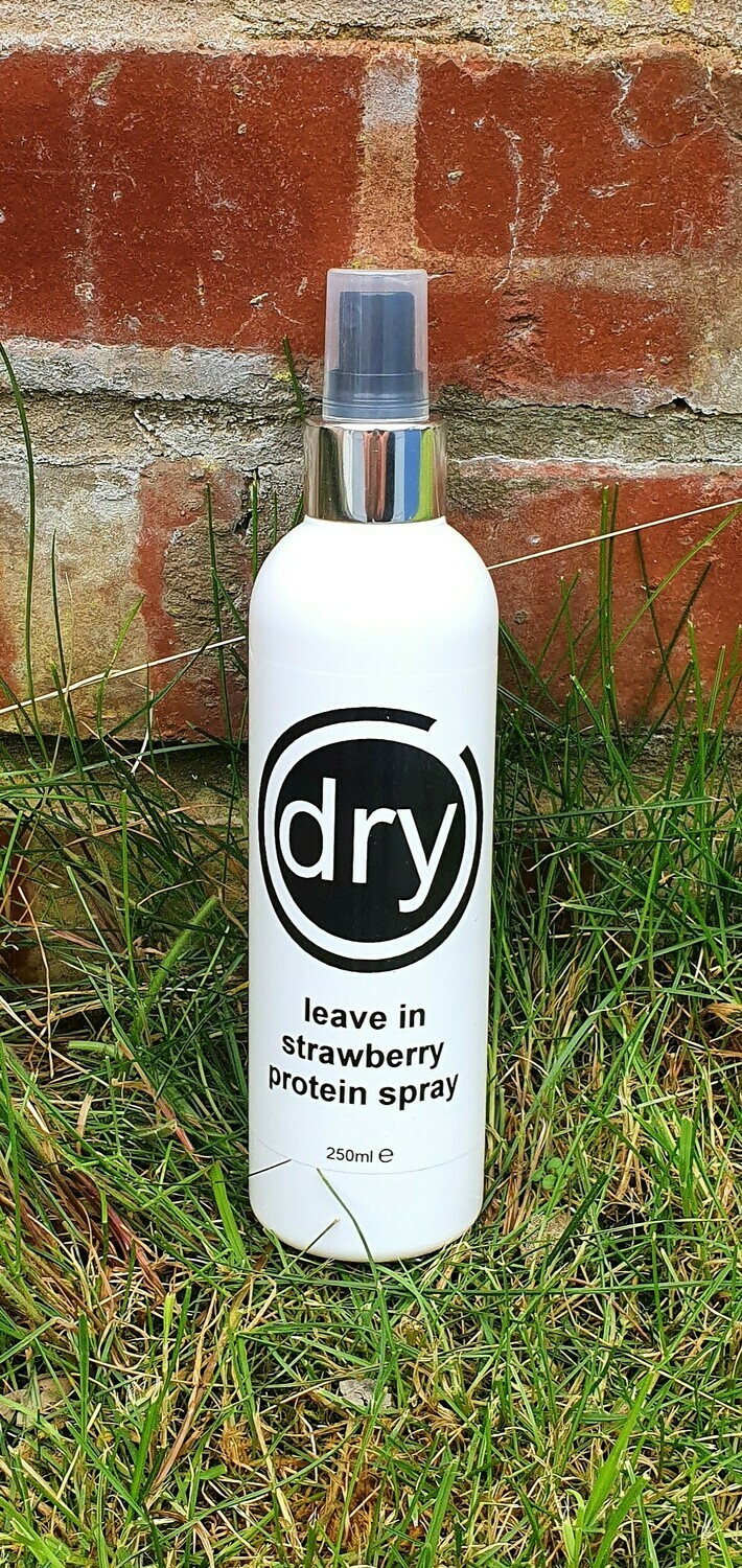 dry - leave in strawberry protein spray 250ml