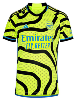 Arsenal Away 2023/24 Supporters Shirt & Shorts - Juniors