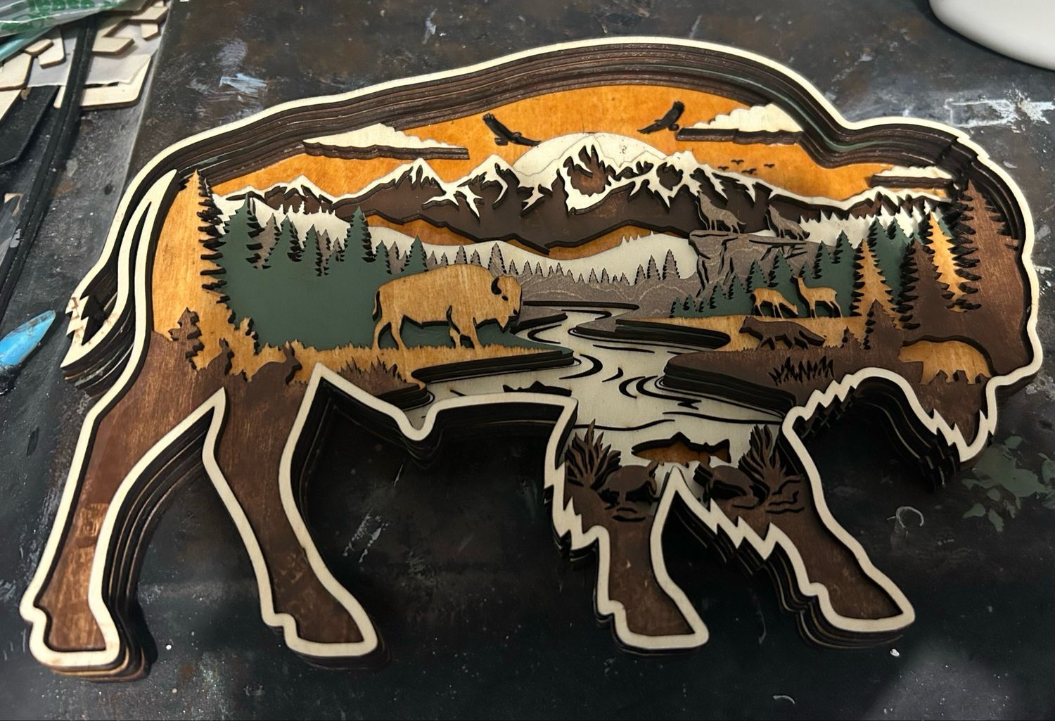 Bison